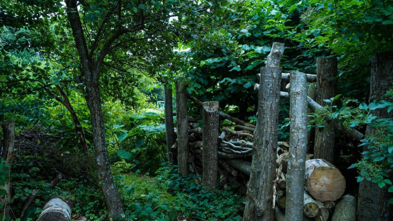 Wonderland Villa Pieterburen Kültér fotó
